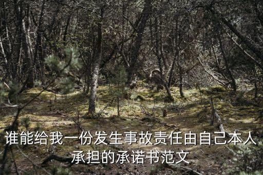 一切后果自行承擔的保證書，誰能給我一份發