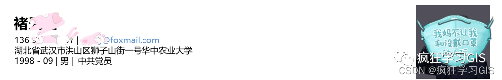 考研復試、夏令營面試的簡歷模板