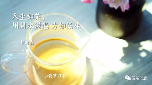 人在草木間打一字_人在草木間閱讀答案_草木間茶葉禮盒價格
