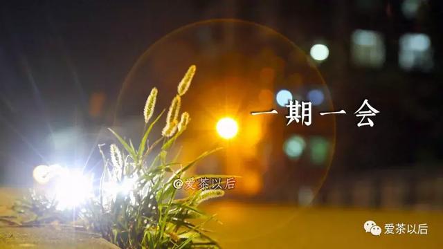 草木間茶葉禮盒價格_人在草木間閱讀答案_人在草木間打一字