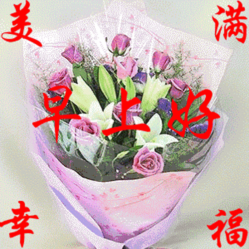 追女孩子的早安問候語_問候早安追語女孩子怎么說_問候早安追語女孩子的句子