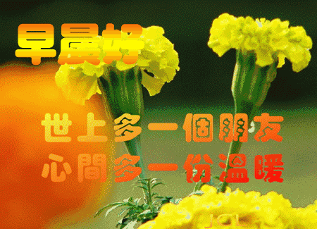 追女孩子的早安問候語_問候早安追語女孩子的句子_問候早安追語女孩子怎么說