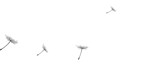 早安暖心話給朋友_給女朋友早安暖心話短句_女性朋友早安暖心心語