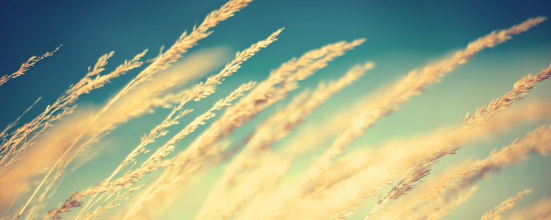 對客戶節日問候語端午節