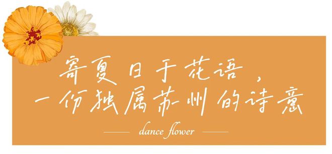 蘇州賣觀賞魚的地方_蘇州魚市批發(fā)市場_蘇州最大的觀賞魚市場