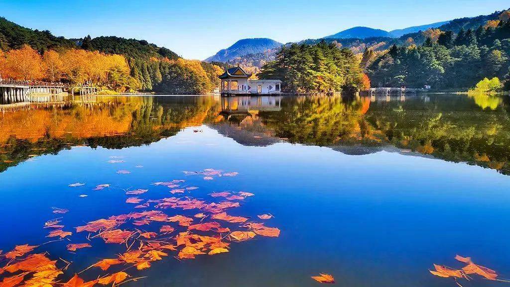 廬山旅游最佳季節(jié)_廬山秋季旅游攻略_廬山秋天有什么美景