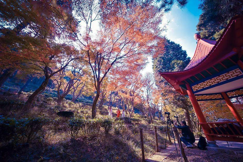 廬山秋季旅游攻略_廬山旅游最佳季節(jié)_廬山秋天有什么美景