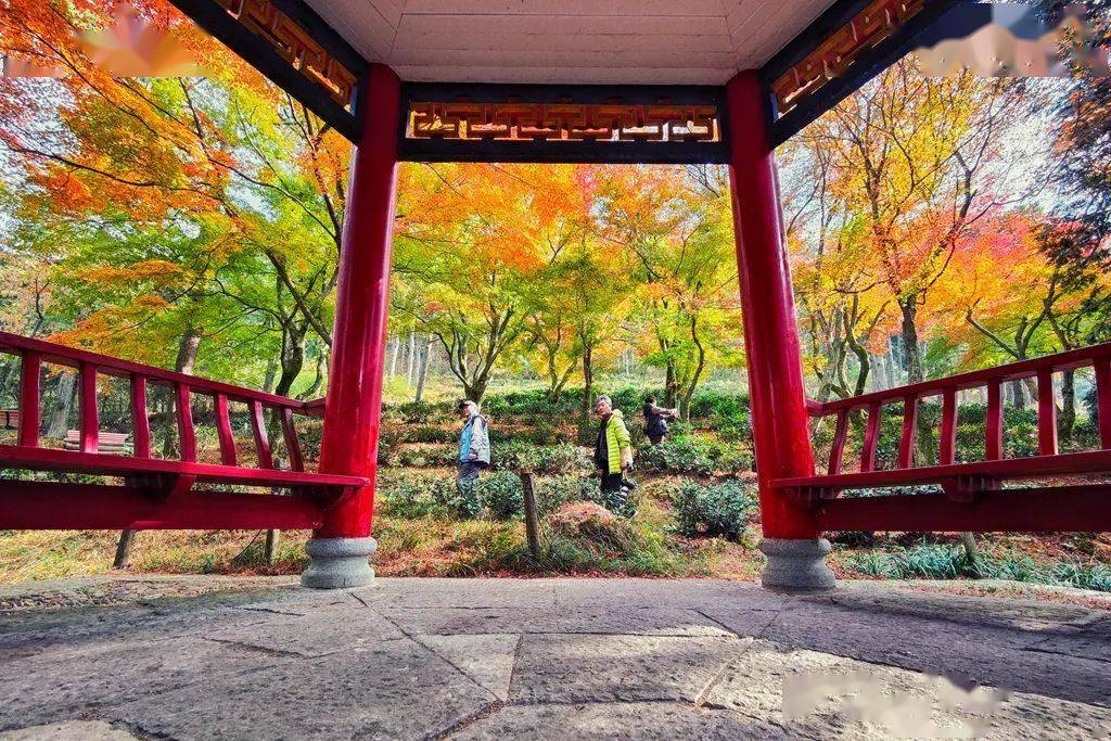 廬山秋天有什么美景_廬山旅游最佳季節(jié)_廬山秋季旅游攻略