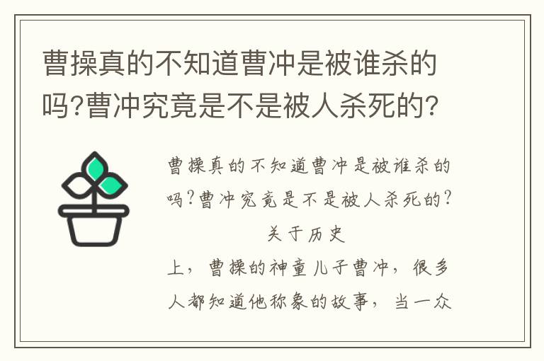 曹操真的不知道曹沖是被誰殺的嗎?曹沖究竟是不是被人殺死的?