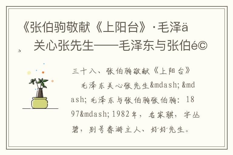 《張伯駒敬獻《上陽臺》·毛澤東關心張先生——毛澤東與張伯駒》毛澤東詩詞故事