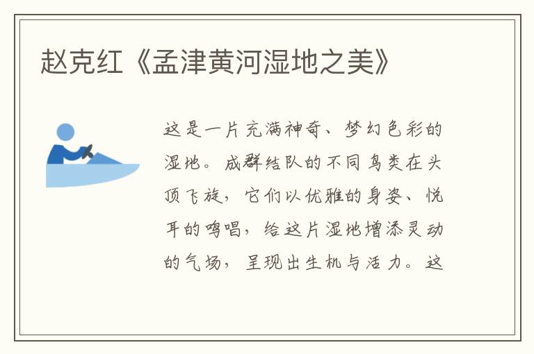 趙克紅《孟津黃河濕地之美》