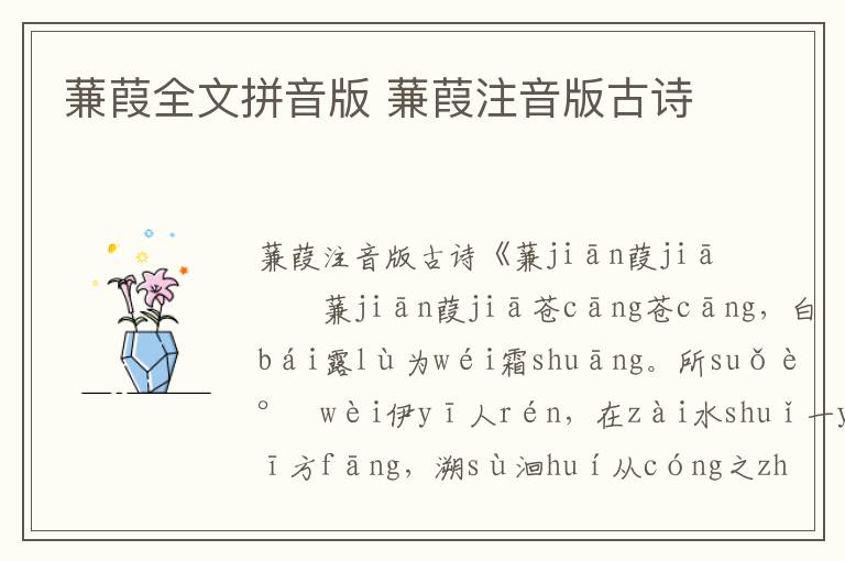 蒹葭全文拼音版 蒹葭注音版古詩