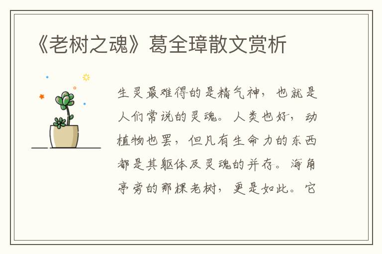 《老樹之魂》葛全璋散文賞析