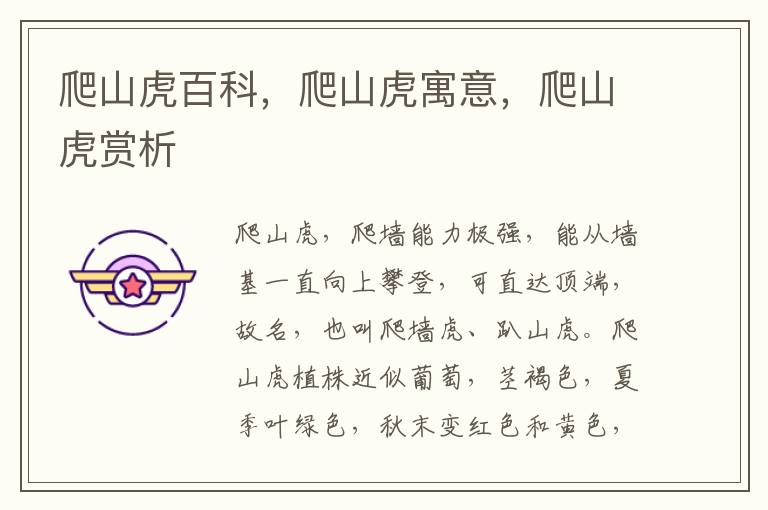 爬山虎百科,爬山虎寓意,爬山虎賞析