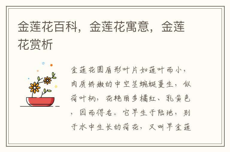 金蓮花百科，金蓮花寓意，金蓮花賞析