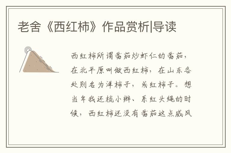 老舍《西紅柿》作品賞析|導讀