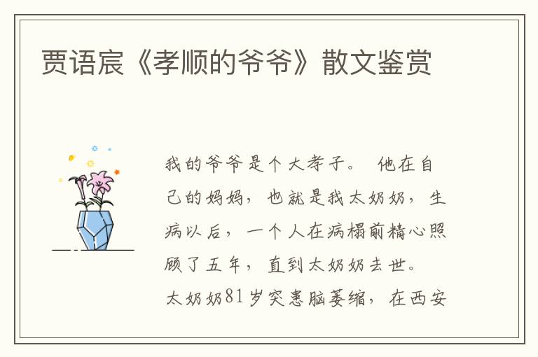 賈語宸《孝順的爺爺》散文鑒賞