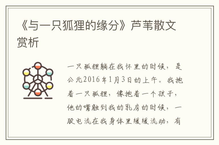 《與一只狐貍的緣分》蘆葦散文賞析