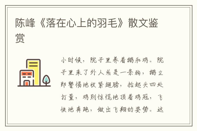 陳峰《落在心上的羽毛》散文鑒賞