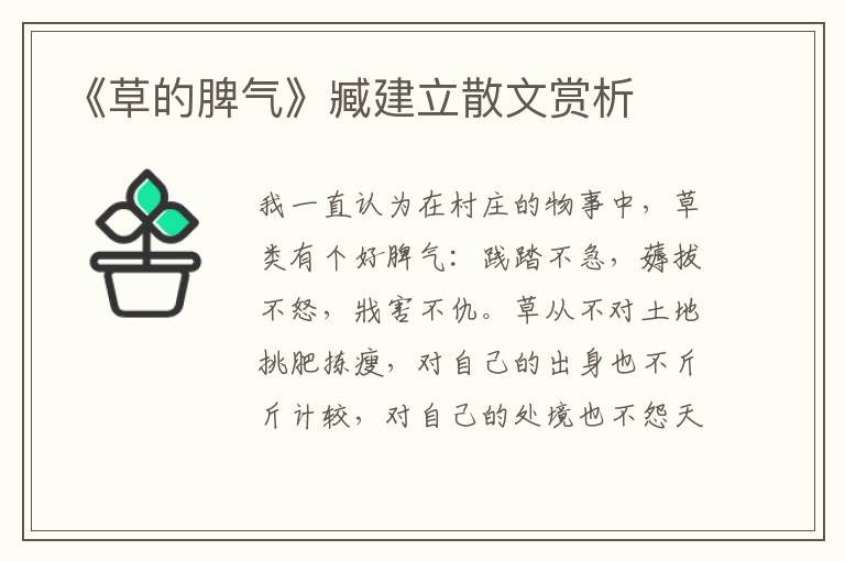 《草的脾氣》臧建立散文賞析