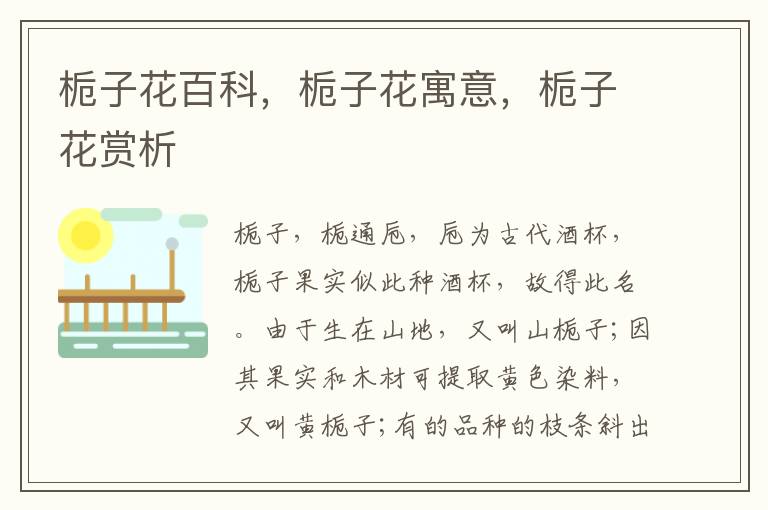 梔子花百科，梔子花寓意，梔子花賞析