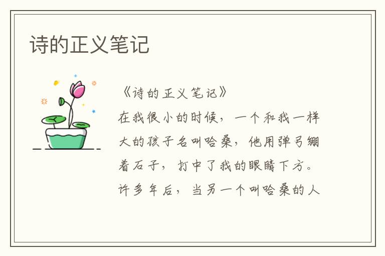 詩的正義筆記