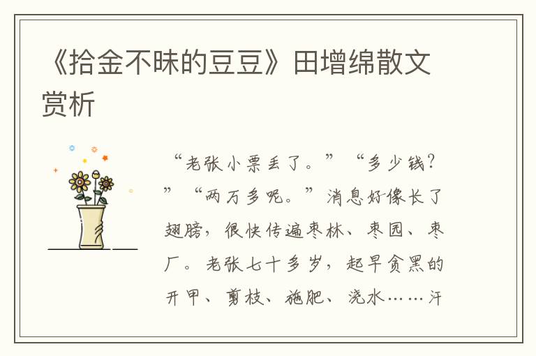 《拾金不昧的豆豆》田增綿散文賞析
