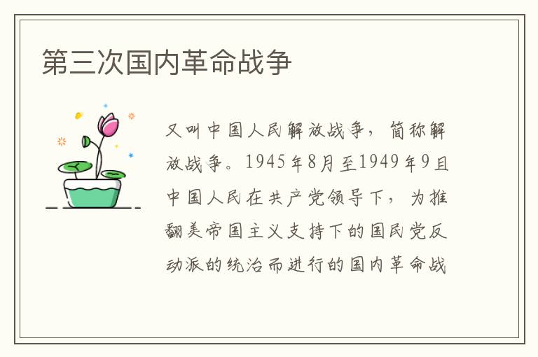 第三次國內革命戰爭
