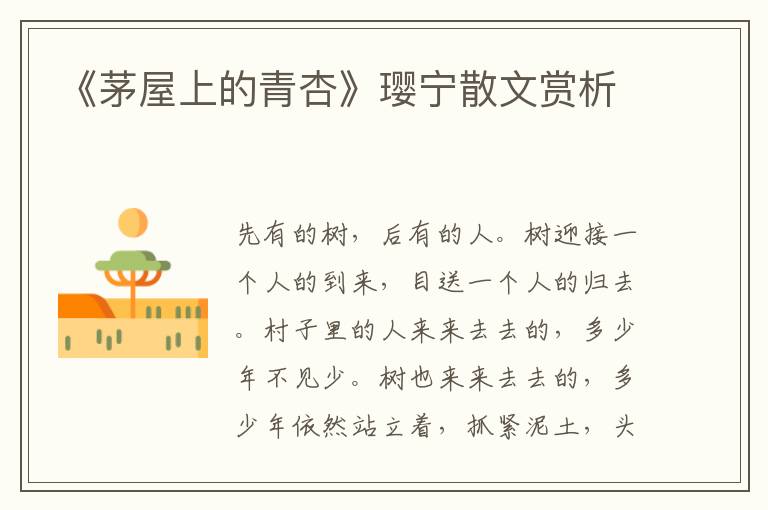 《茅屋上的青杏》瓔寧散文賞析