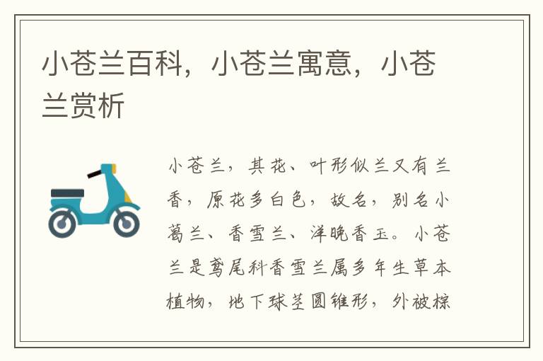 小蒼蘭百科,小蒼蘭寓意,小蒼蘭賞析