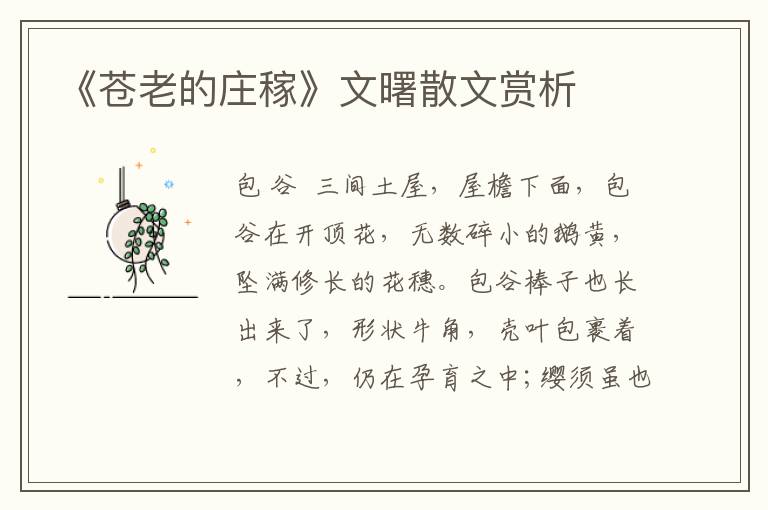 《蒼老的莊稼》文曙散文賞析