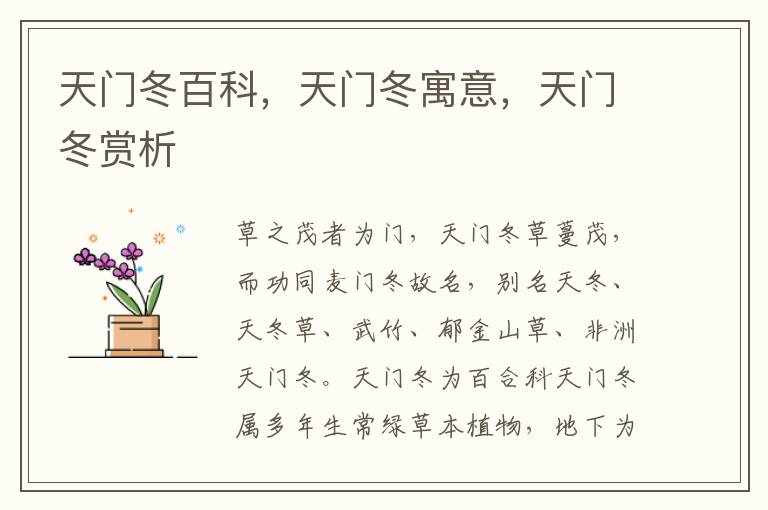 天門冬百科,天門冬寓意,天門冬賞析