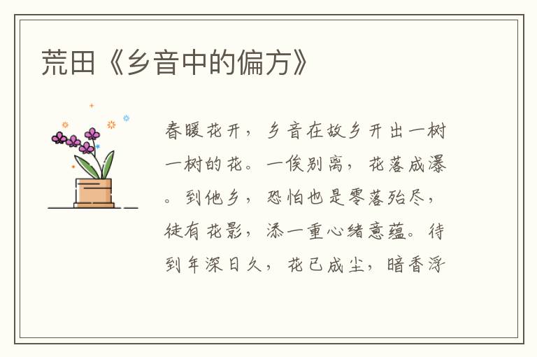 荒田《鄉音中的偏方》