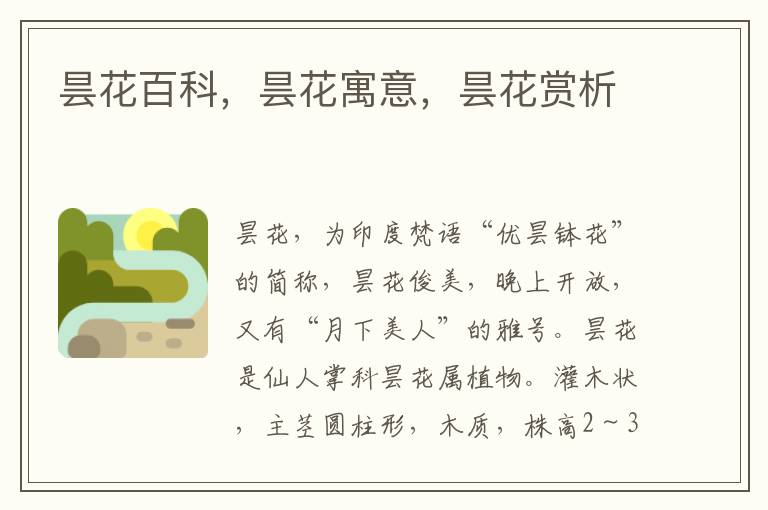 曇花百科,曇花寓意,曇花賞析