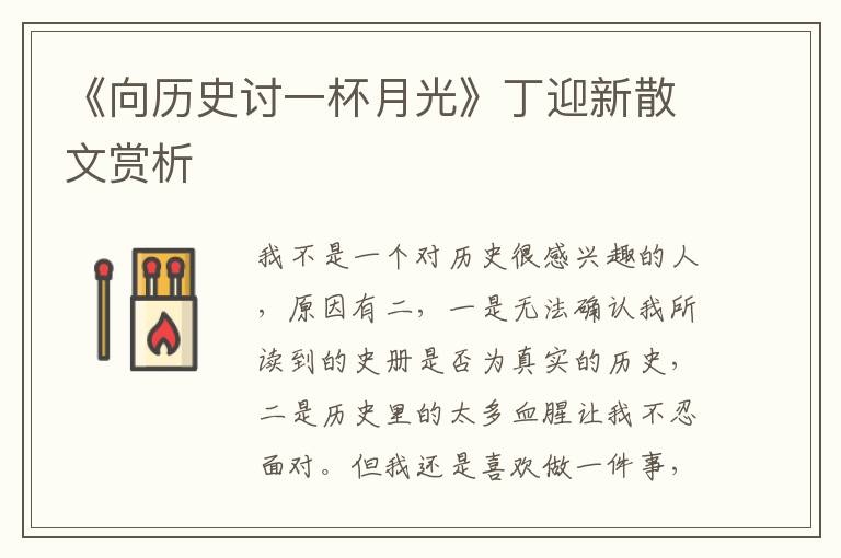 《向歷史討一杯月光》丁迎新散文賞析