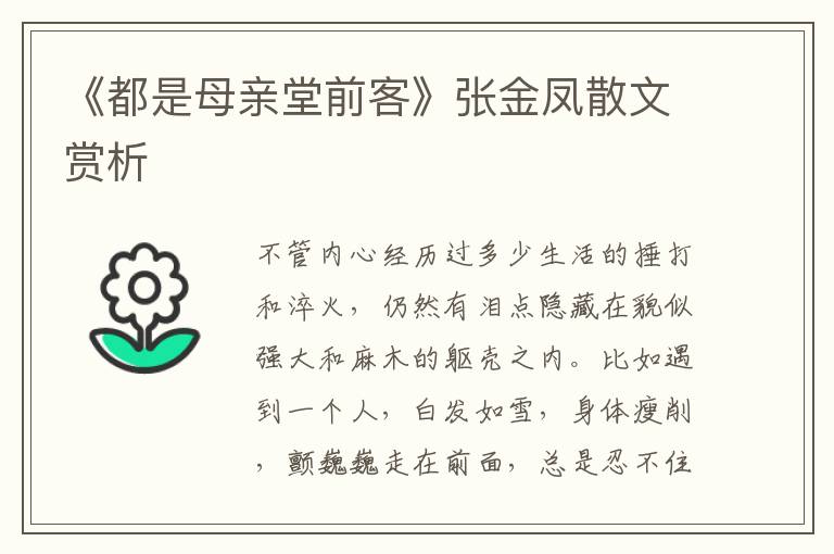 《都是母親堂前客》張金鳳散文賞析