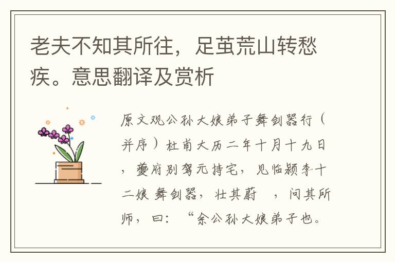老夫不知其所往，足繭荒山轉(zhuǎn)愁疾。意思翻譯及賞析
