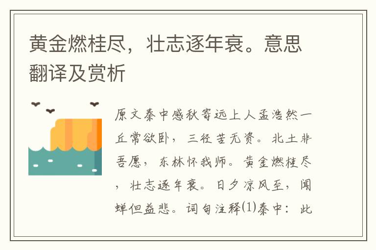 黃金燃桂盡,壯志逐年衰。意思翻譯及賞析