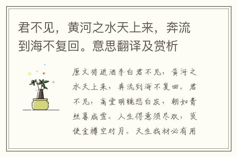 君不見,黃河之水天上來,奔流到海不復回。意思翻譯及賞析
