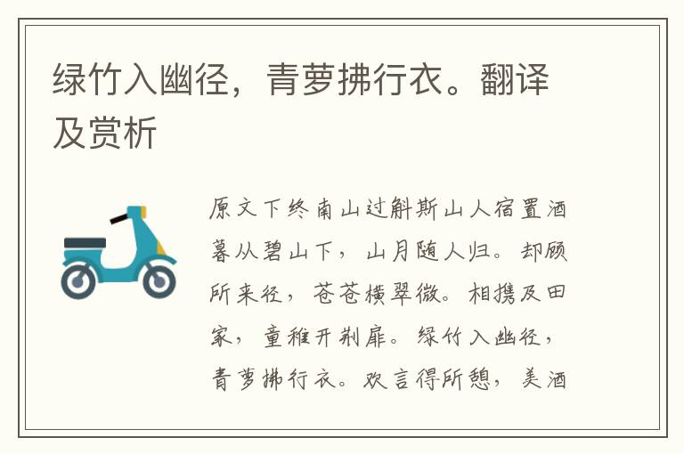 綠竹入幽徑,青蘿拂行衣。翻譯及賞析