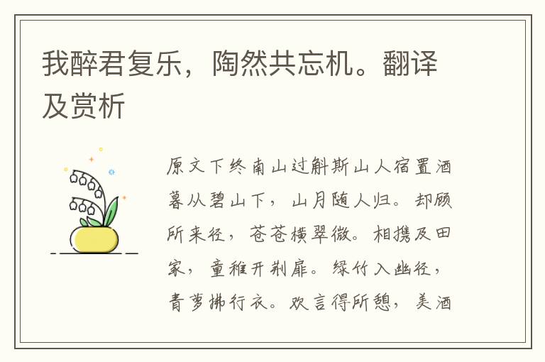 我醉君復樂，陶然共忘機。翻譯及賞析