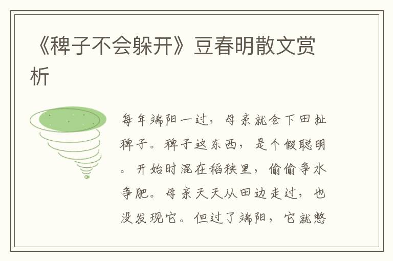 《稗子不會躲開》豆春明散文賞析