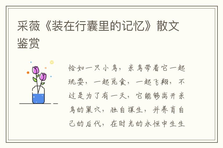 采薇《裝在行囊里的記憶》散文鑒賞