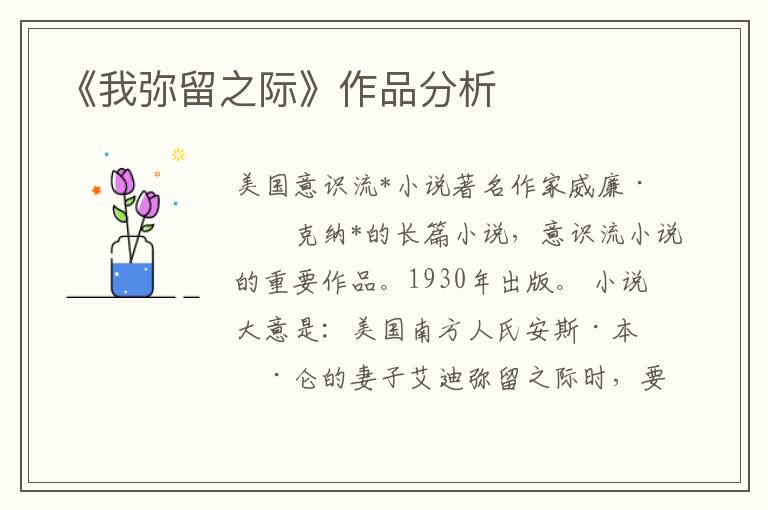 《我彌留之際》作品分析