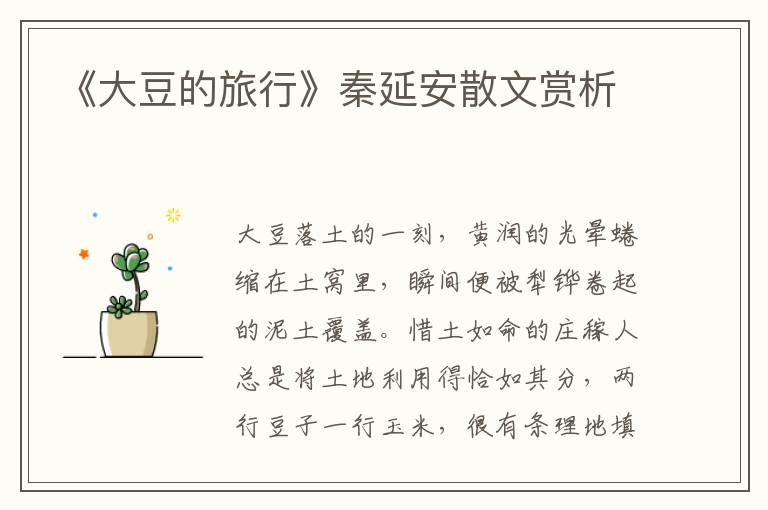 《大豆的旅行》秦延安散文賞析