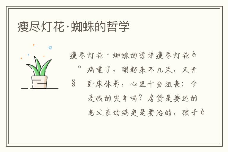 瘦盡燈花·蜘蛛的哲學