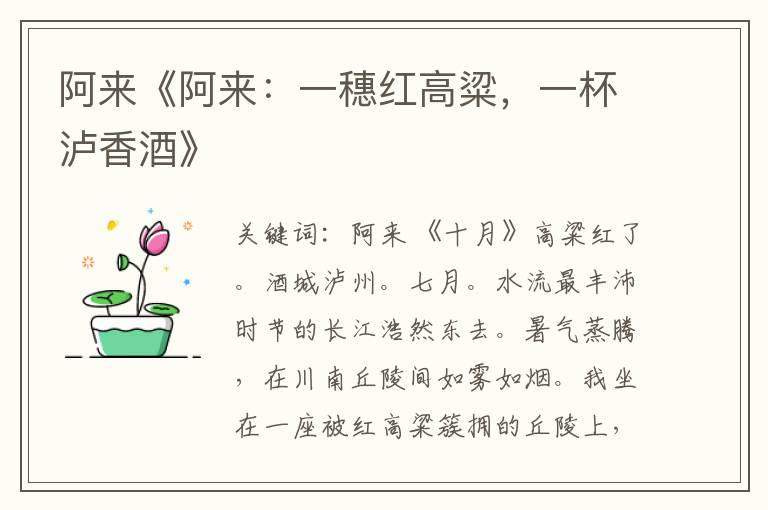 阿來《阿來:一穗紅高粱,一杯瀘香酒》