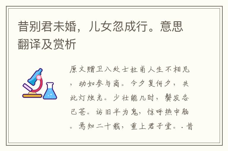 昔別君未婚，兒女忽成行。意思翻譯及賞析