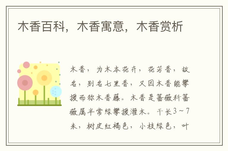 木香百科,木香寓意,木香賞析